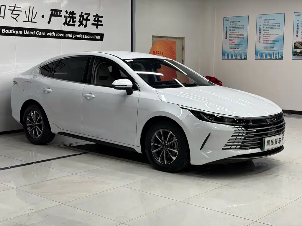 BYD Destroyer 05 2024 DM-i 55KM Luxury