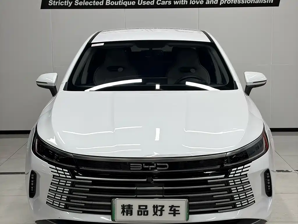 BYD Destroyer 05 2024 DM-i 55KM Luxury