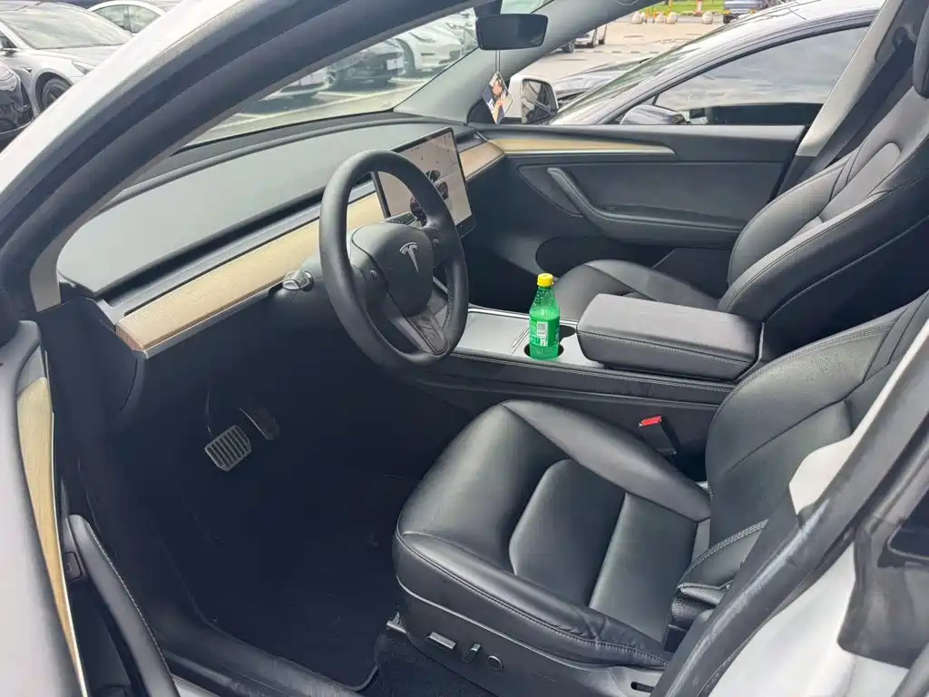 Tesla Model Y — миниатюра 3