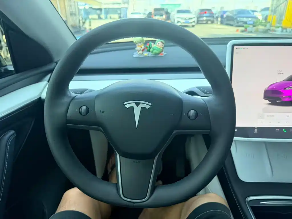 Tesla Model Y — миниатюра 8