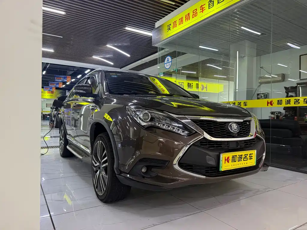 BYD Tang New Energy — миниатюра 3