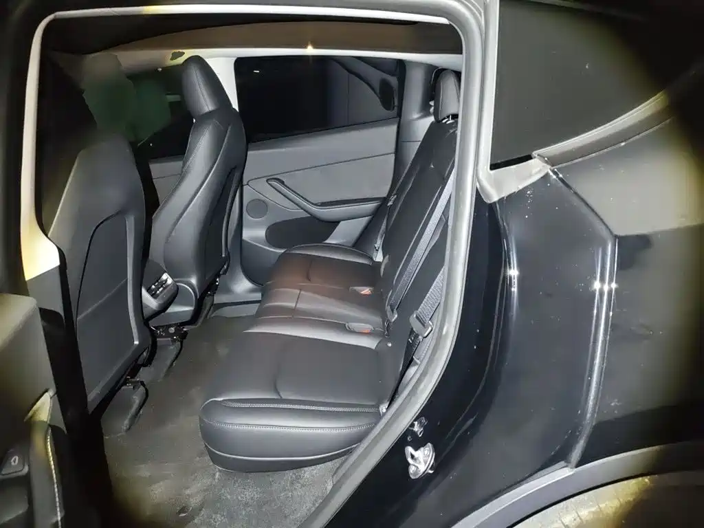 Tesla Model Y — миниатюра 18