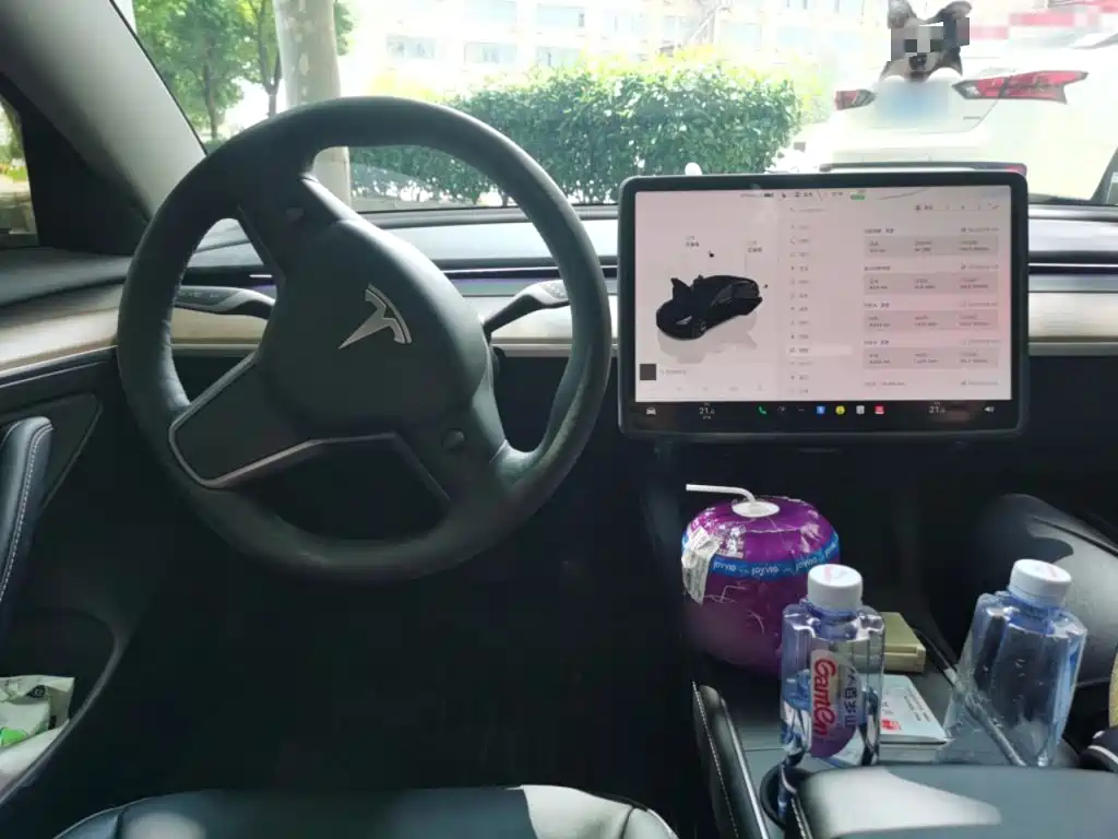 Tesla Model 3 — миниатюра 13