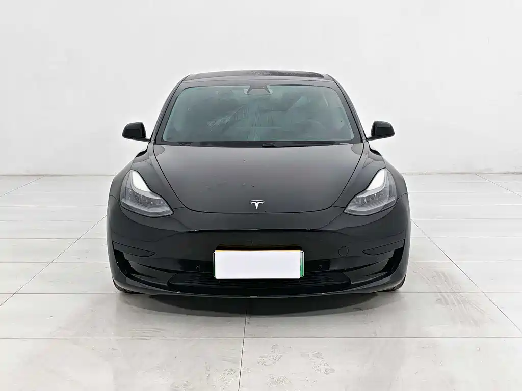 Tesla Model 3 2021 3D1