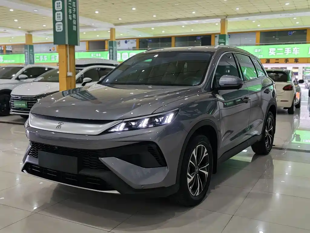 BYD Pro New Energy