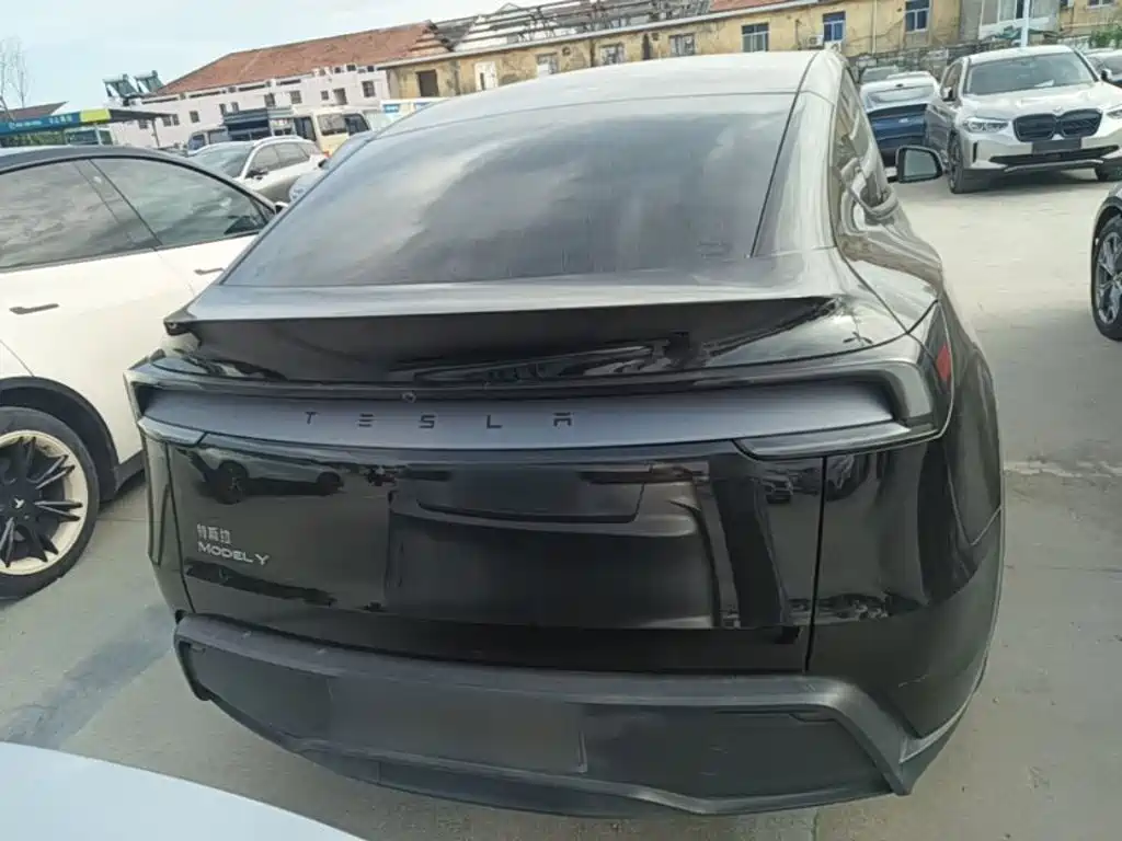 Tesla Model Y — миниатюра 6