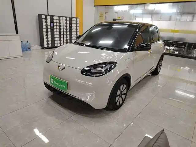 2024 Wuling Motors Binguo