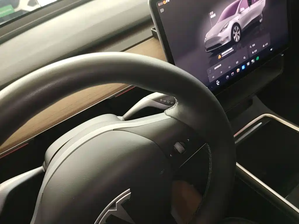 Tesla Model Y — миниатюра 14