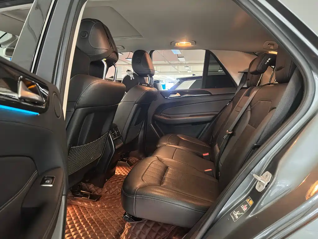 Mercedes-Benz 奔驰GLE(进口) — миниатюра 7