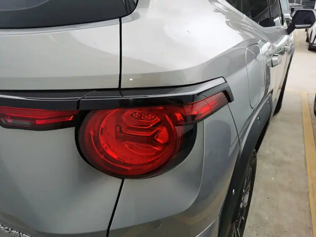 Haval Плюс новая энергия. — миниатюра 8