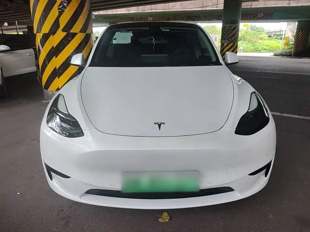 Tesla Model Y — миниатюра 3