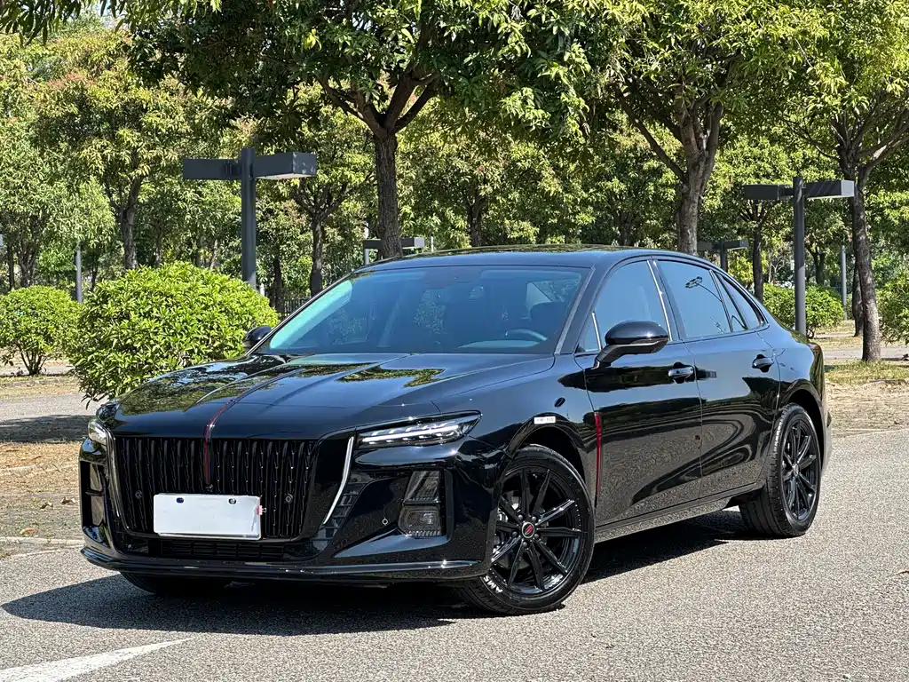 Hongqi Hongqi H5 2024