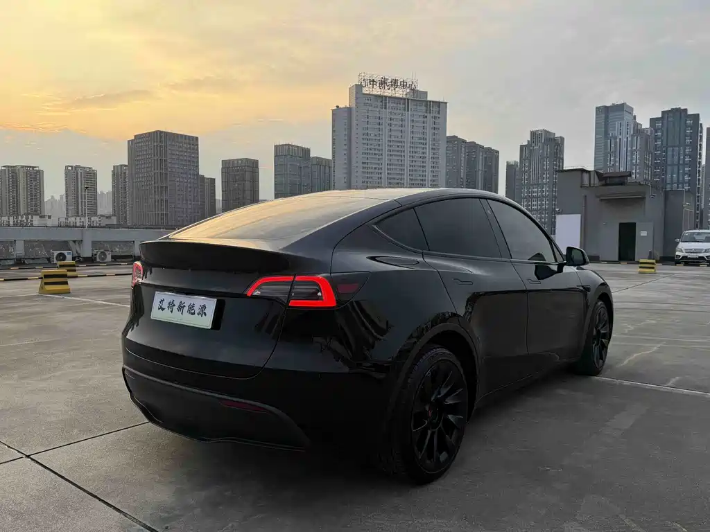 Tesla Model Y — миниатюра 4