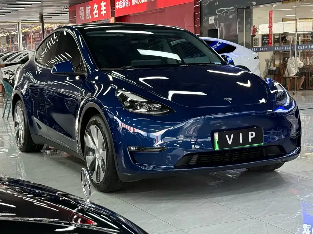 Tesla Model Y — миниатюра 3