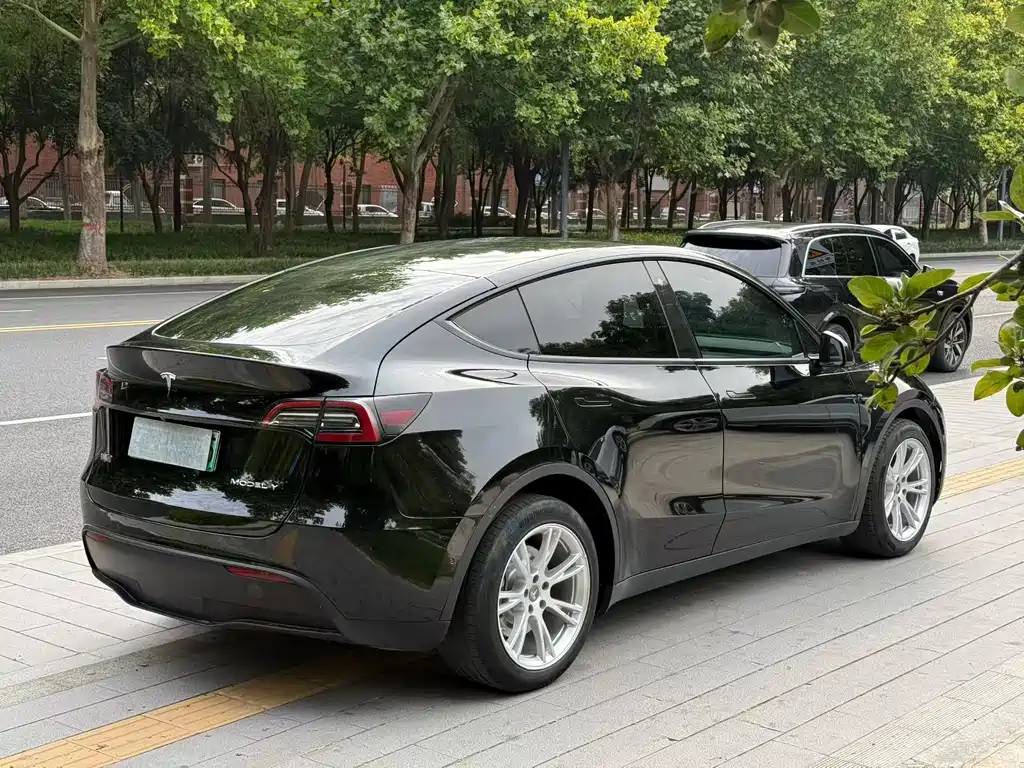 Tesla Model Y — миниатюра 8