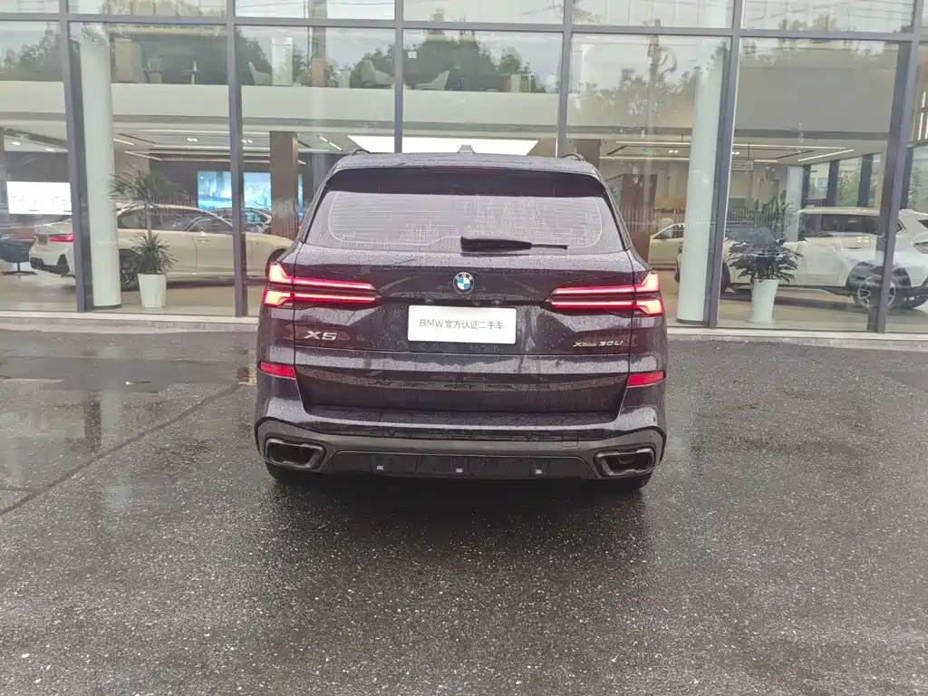 BMW X5 — миниатюра 4