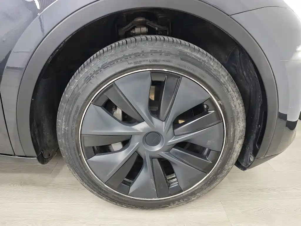 Tesla Model Y — миниатюра 56
