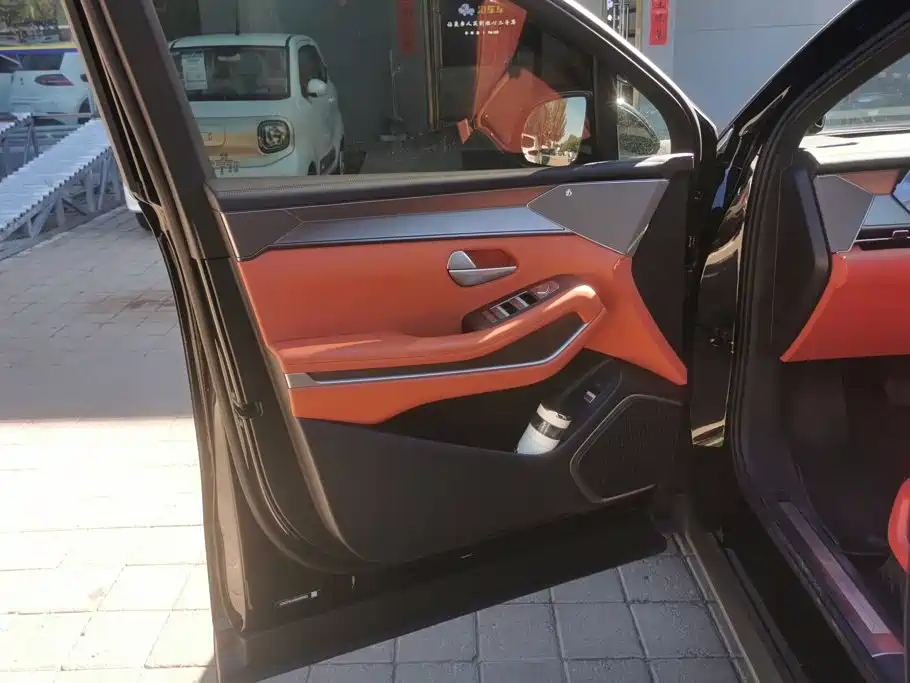 BYD Дон Л. — миниатюра 7