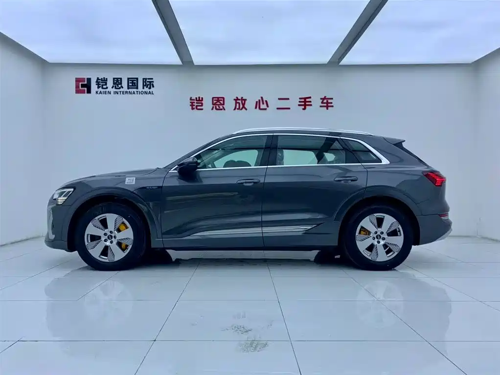 Audi e-tron 2021 50 quattro Luxury