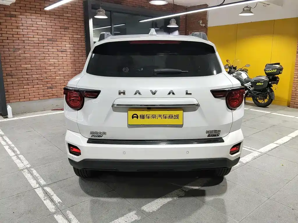 Haval Плюс новая энергия. — миниатюра 8