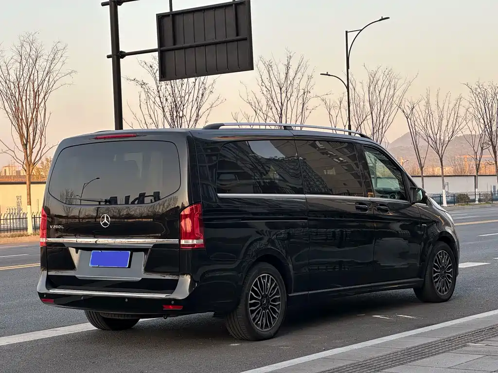 Mercedes-Benz V-Class V 260 L Premium Extended Edition, фото 6