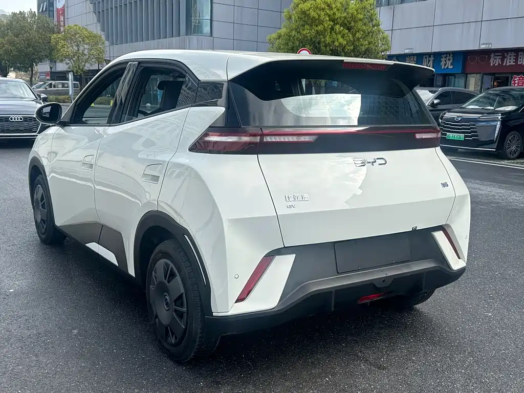 BYD Seagull 2024 305km