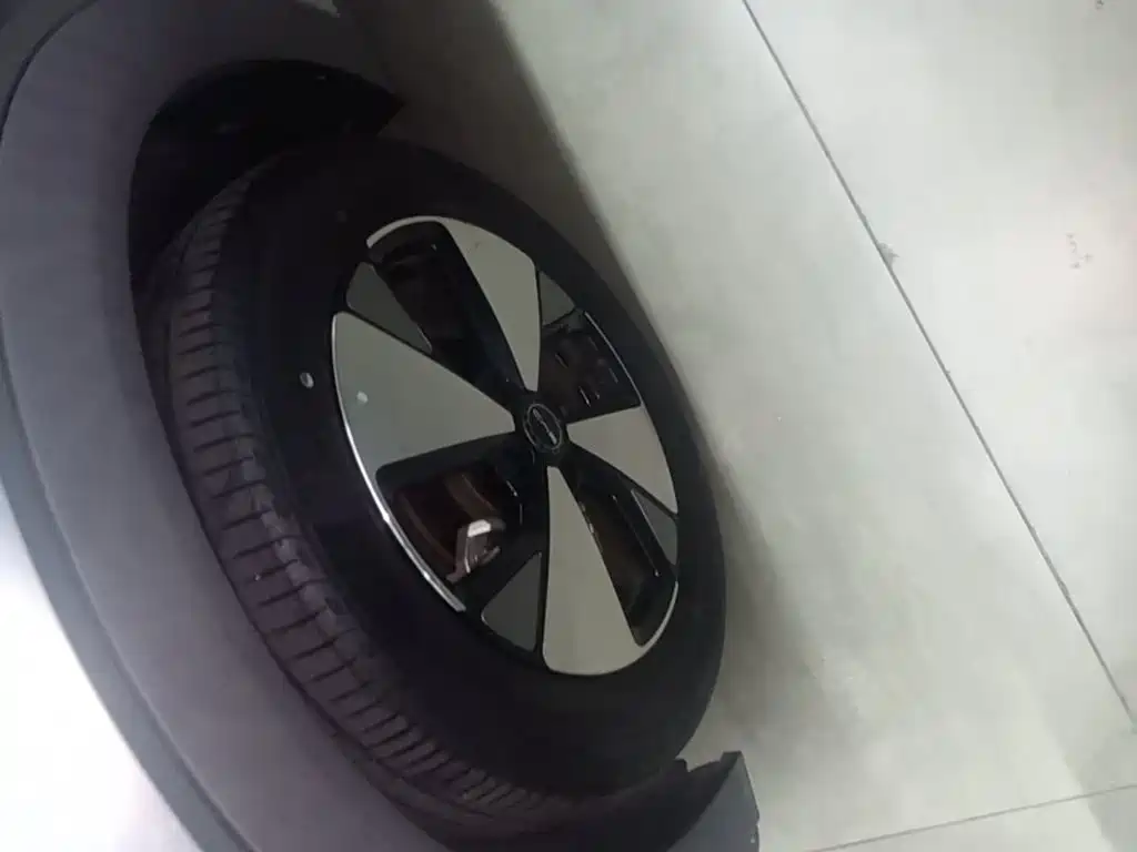 BYD Dolphin — миниатюра 23