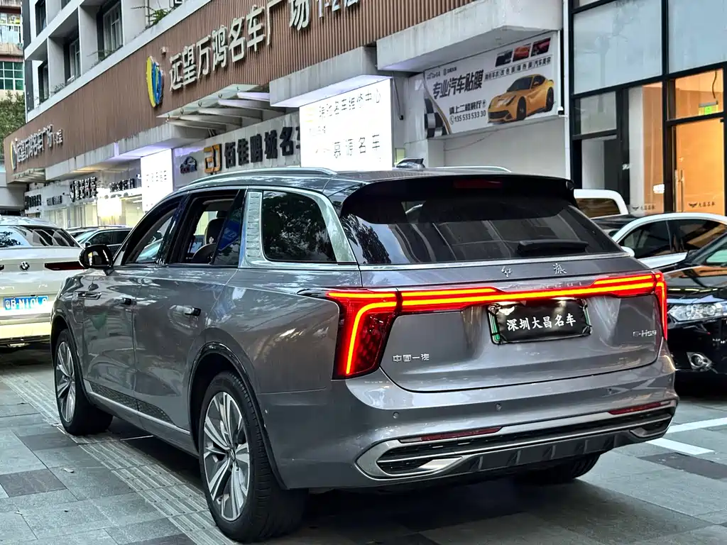 Hongqi Hongqi E-HS9 — миниатюра 8