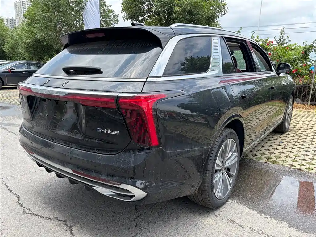 Hongqi E-HS9 2025 690km мест
