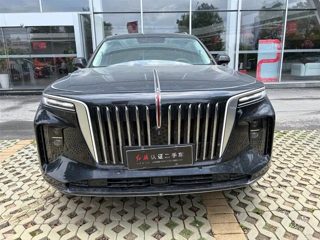 Hongqi E-HS9 2025 690km мест