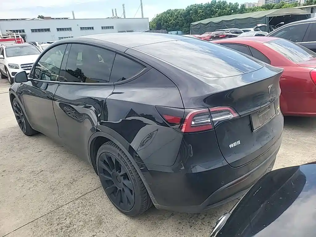 Tesla Model Y — миниатюра 5