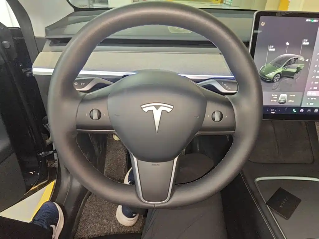 Tesla Model Y — миниатюра 11