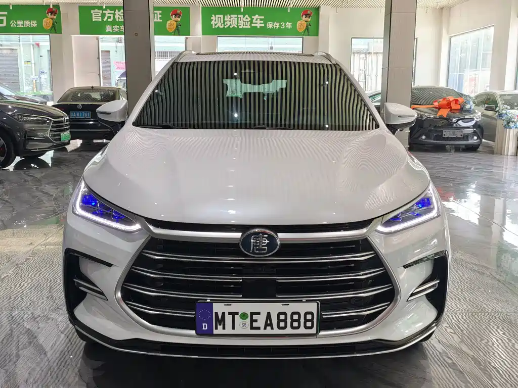 BYD Tang New Energy — миниатюра 2