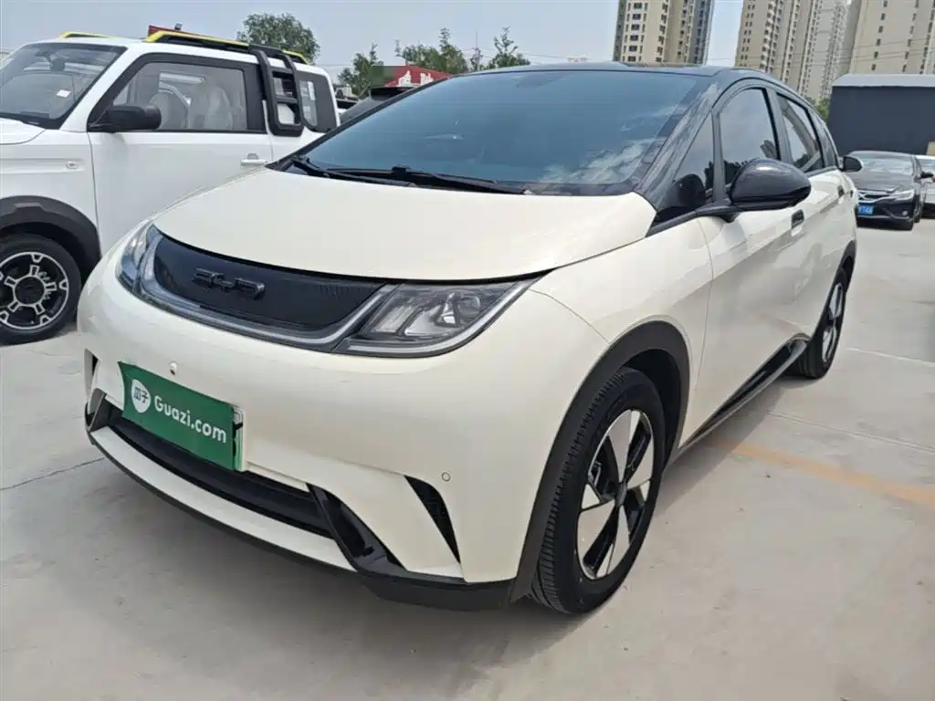 Byd Dolphin 2023