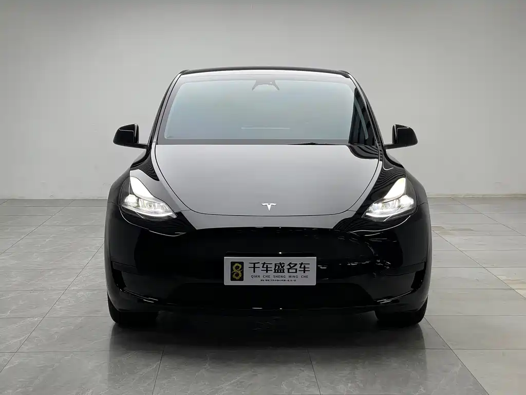 Tesla Model Y — миниатюра 2