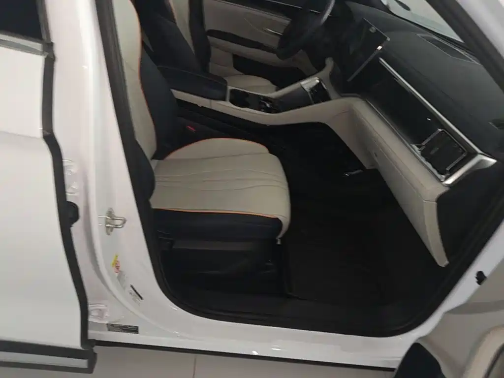 BYD PLUS New Energy — миниатюра 25