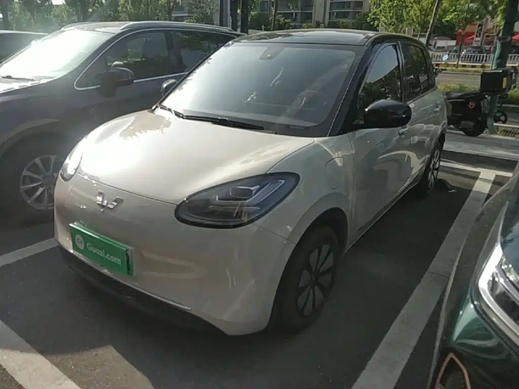Wuling Binguo 2023 333km