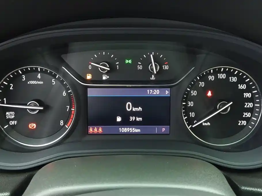 Buick Regal — миниатюра 14
