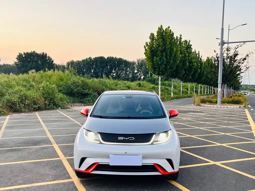 BYD Dolphin — миниатюра 2