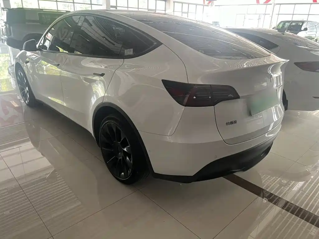 Tesla Model Y — миниатюра 4