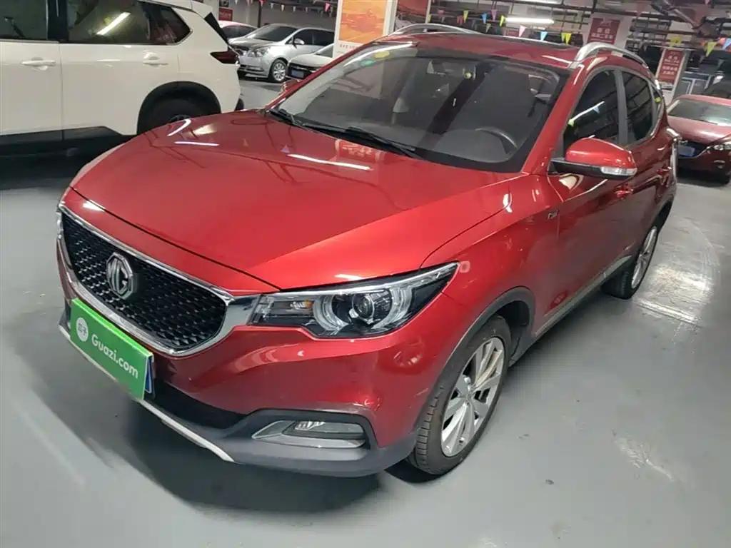 Mg ZS 2017