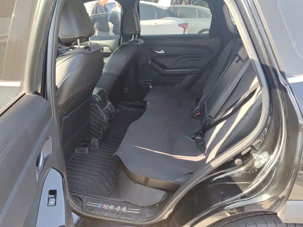 Haval Chitu — миниатюра 18