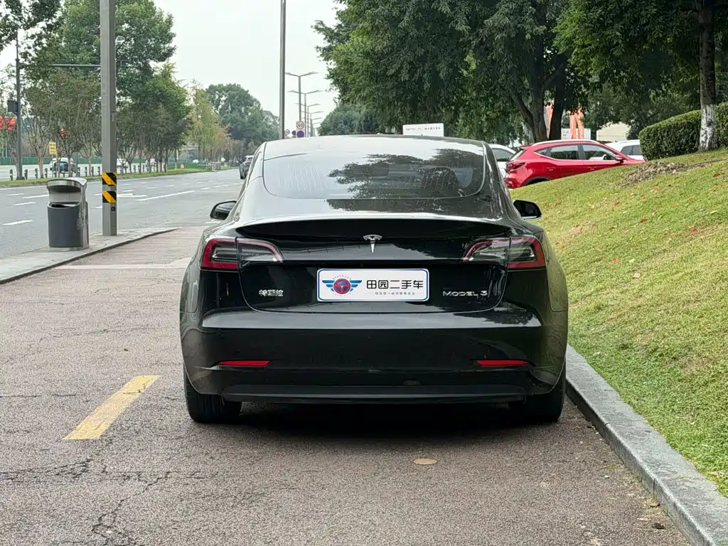 Tesla Model 3 — миниатюра 5