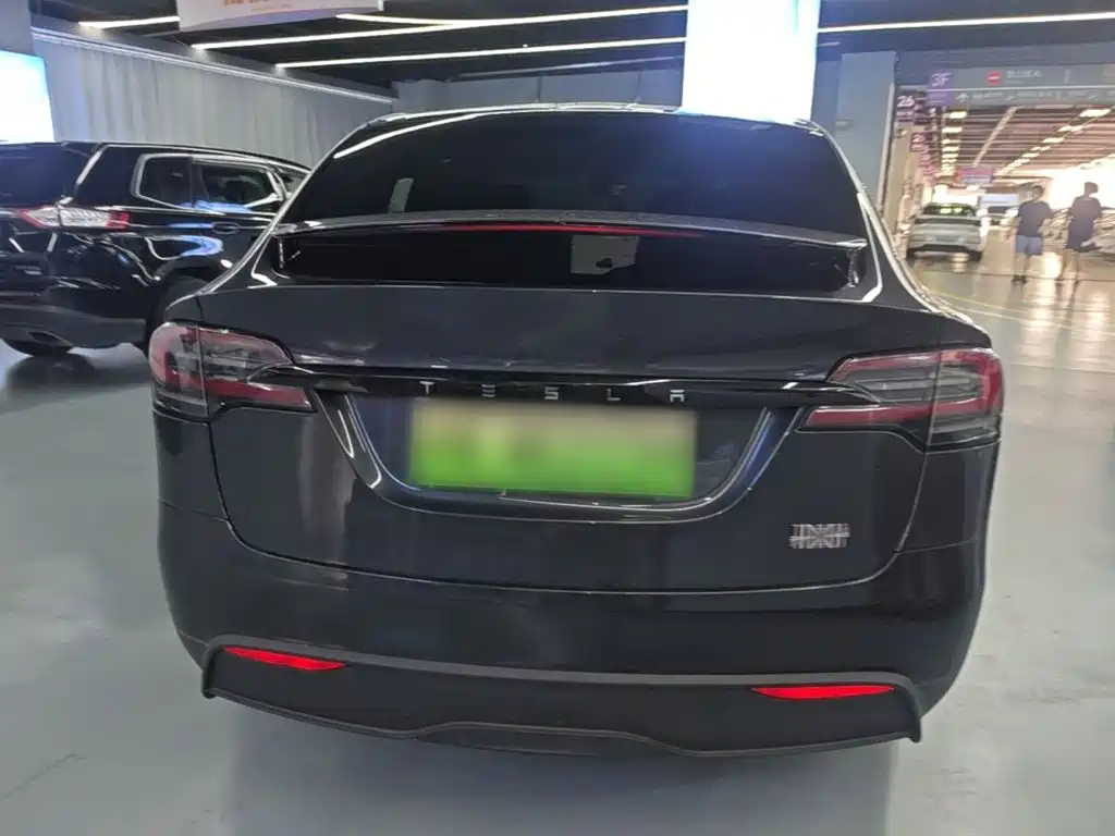 Tesla Model X — миниатюра 6