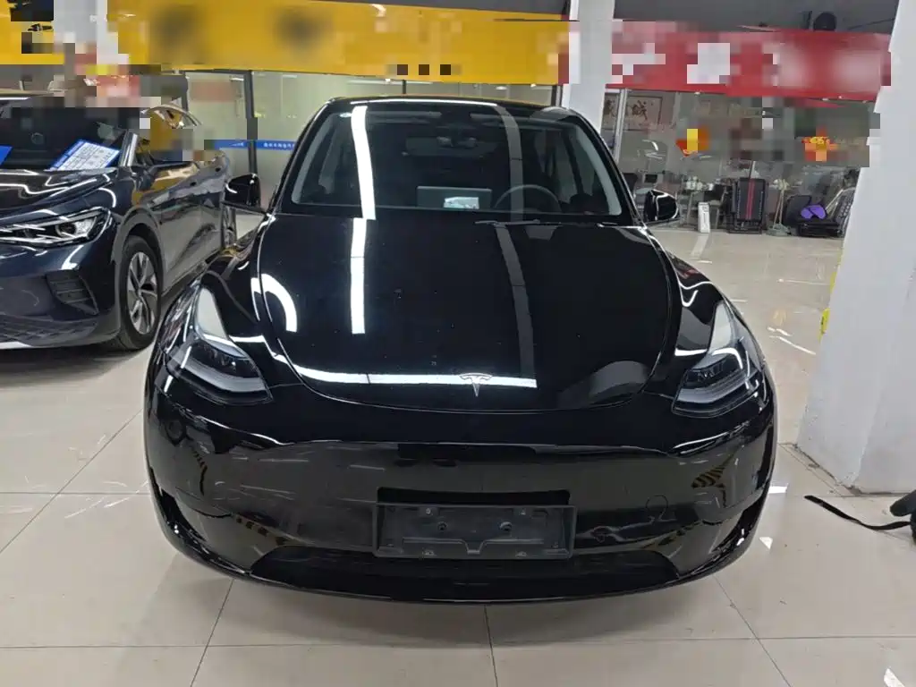 Tesla Model Y — миниатюра 3