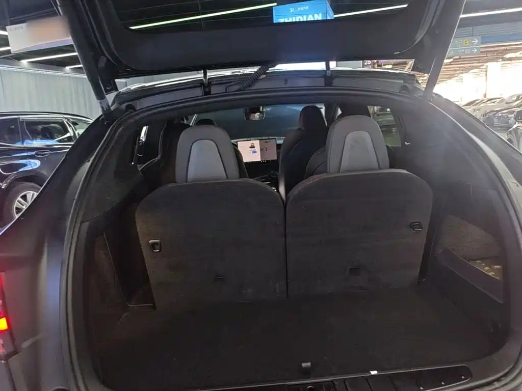 Tesla Model X — миниатюра 19
