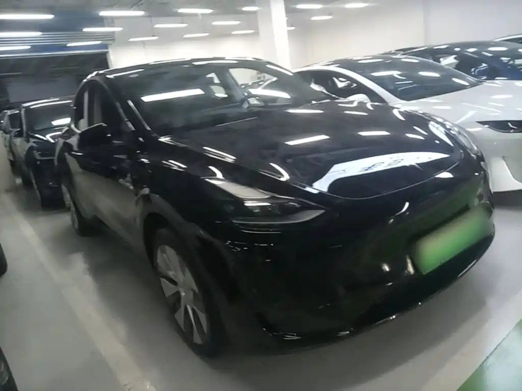 Tesla Model Y — миниатюра 4