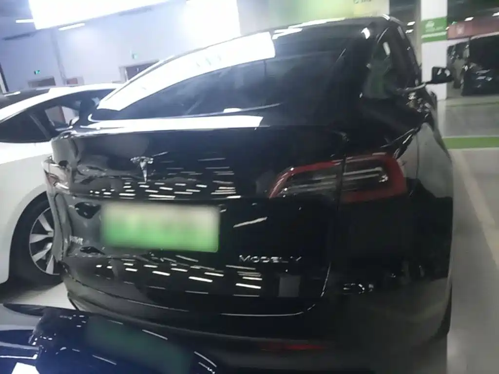 Tesla Model Y — миниатюра 6
