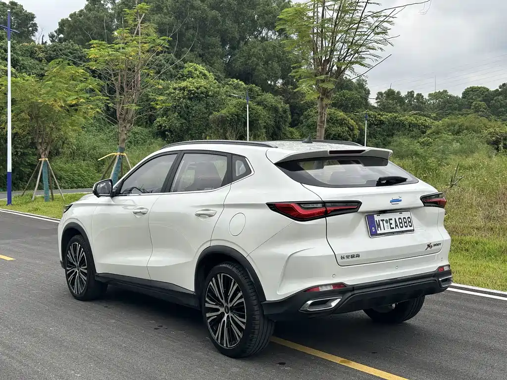 Oshan Oushang X5 — миниатюра 8