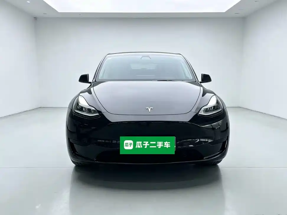 Tesla Model Y — миниатюра 3